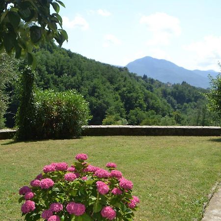 La Limonaia Di Casagrande Villa Barga Kültér fotó