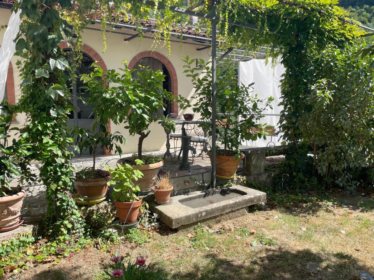 La Limonaia Di Casagrande Villa Barga Kültér fotó