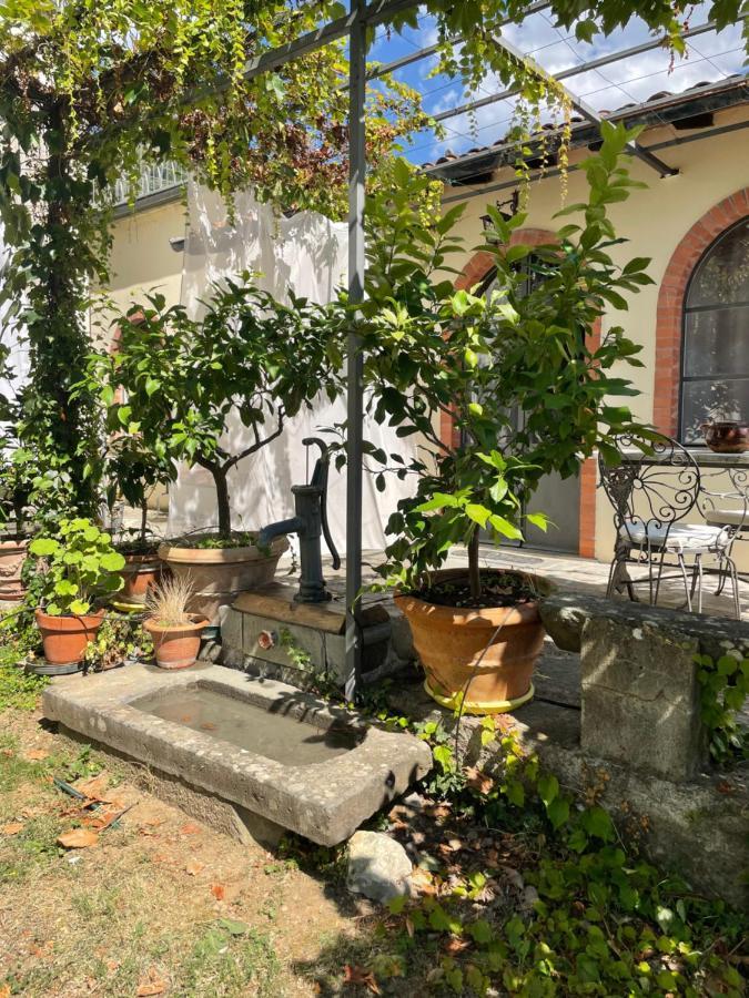 La Limonaia Di Casagrande Villa Barga Kültér fotó